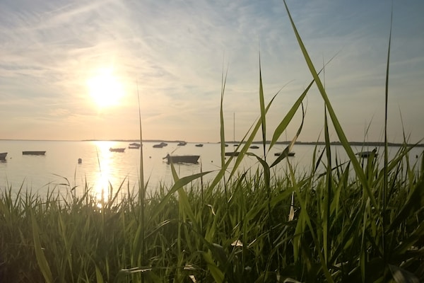 Foto van Idyllisch vakantiehuis met terras in Rerik - Vakantiehuis in Rerik / OT Roggow - AreaSummer1KM