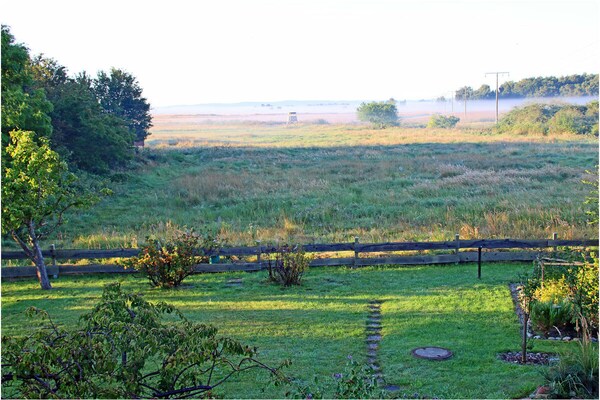 Foto van Marisol Comfortabele vakantiewoning - Vakantiehuis in Glowe, Rügen Jasmund, Ostsee - Untagged
