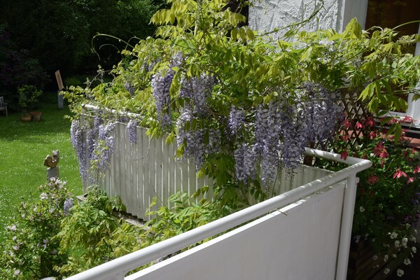 Foto van Comfort aan het meer met balkon - Vakantiehuis in Eutin - TerraceBalcony