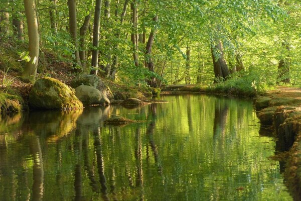 Foto van Appartement, Oldenburg in Holstein - Vakantiehuis in Oldenburg in Holstein OT Dannau - AreaSummer20KM