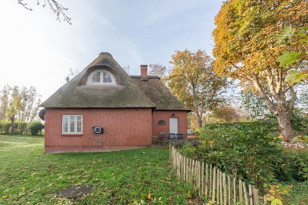 Foto van rietgedekte vakantiewoning met tegelkachel - Vakantiehuis in Tetenbüll - ExteriorSummer