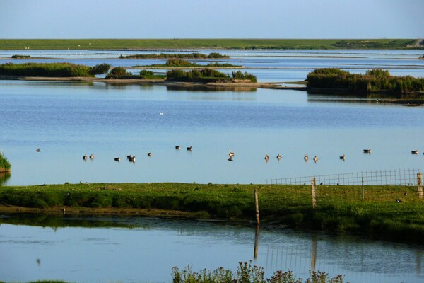 Foto van Hooge in het Halligblickhuis - Vakantiehuis in Dagebüll - Water view