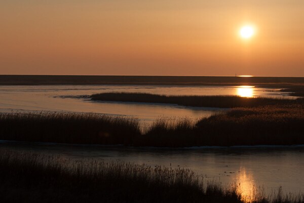 Foto van Aantrekkelijk appartement nabij het stadscentrum - Vakantiehuis in Norderney - Untagged