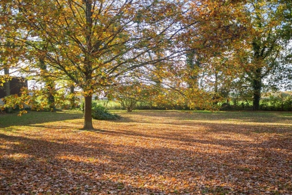 Foto van Ruim appartement met tuin - Vakantiehuis in Langlingen-Hohnebostel - AreaSummer1KM