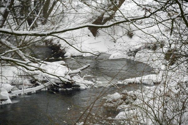 Foto van Appartement in het Teutoburgerwoud Externsteine - Vakantiehuis in Nieheim - AreaWinter20KM