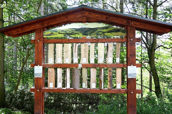 Foto van Appartement op de 1e verdieping nabij Willingen - Vakantiehuis in Willingen - AreaSummer20KM