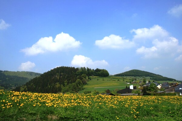 Foto van Licht appartement nabij Willingen met terras - Vakantiehuis in Willingen - AreaSummer1KM