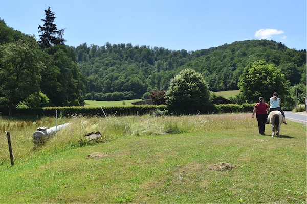 Foto van Appartement met terras in Hüddingen - Vakantiehuis in Bad Wildungen - AreaSummer1KM