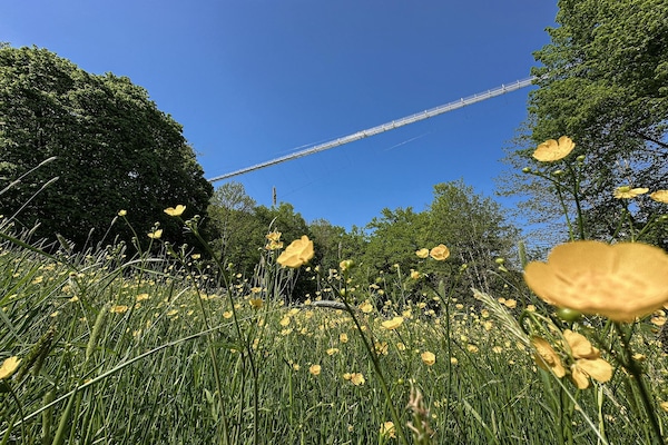 Foto van Vakantiehuis in Duitsland met Uitzicht - Vakantiehuis in Ronshausen - AreaSummer20KM