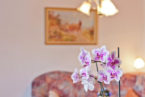 Foto van vakantiehuis in het Thüringer Woud met dak - Vakantiehuis in Bad Liebenstein - Ambiance