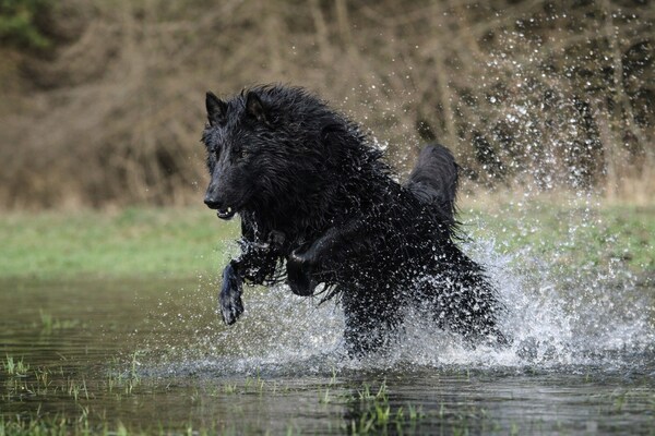 Foto van Bernsteinsee Homes en Ferien Beach House 2 - Vakantiehuis in Sassenburg - Ambiance