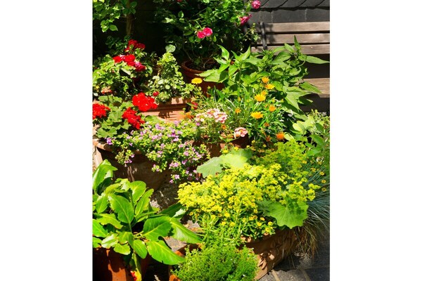 Foto van Vakantiehuis in Goslar voor 4 personen - Vakantiehuis in Goslar - Untagged