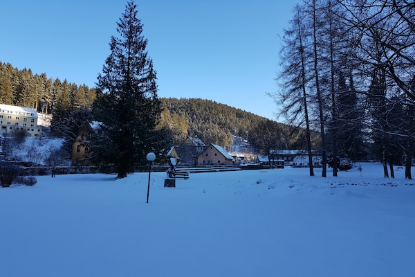 Foto van Vakantieappartement in de Boven-Harz in Wildemann - Vakantiehuis in Wildemann - AreaWinter1KM