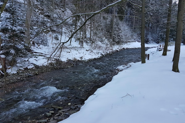Foto van Vakantieappartement in de Boven-Harz in Wildemann - Vakantiehuis in Wildemann - AreaWinter1KM