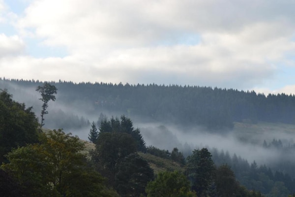 Foto van Vakantieappartement in de Boven-Harz in Wildemann - Vakantiehuis in Wildemann - AreaSummer5KM