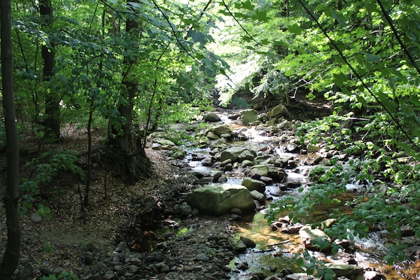 Foto van Familieplezier en bospaden - Vakantiehuis in Ilsenburg - AreaSummer5KM