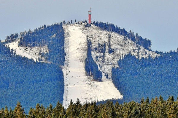Foto van comfortabel vakantieappartement in Elbingerode - Vakantiehuis in Elbingerode - DiningRoom