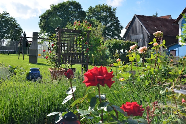 Foto van Familieplezier in de heuvels van Hüttenrode - Vakantiehuis in Hüttenrode - GardenSummer