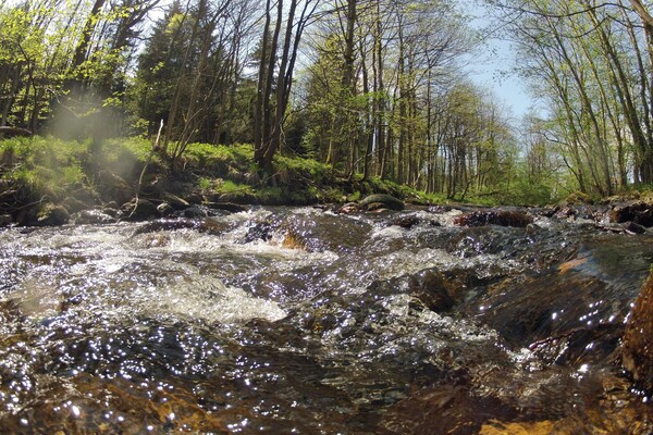Foto van Halfvrijstaande woning in Hasselfelde - Vakantiehuis in Hasselfelde - BathRoom