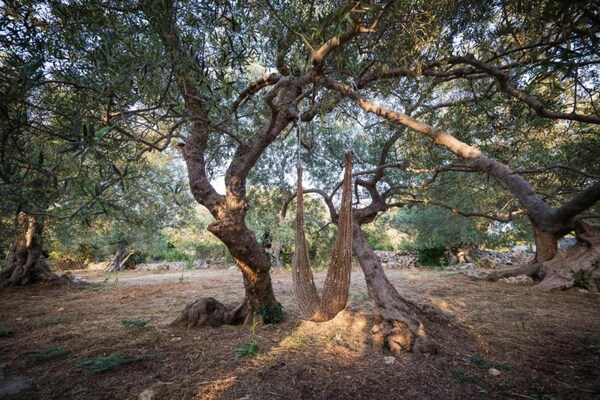 Foto van Appartement in Essen met balkon en terras - Vakantiehuis in Essen - AreaSummer20KM