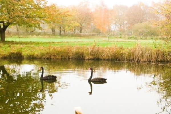 Foto van Vakantiehuis met sauna - Vakantiehuis in Bad Bentheim - AreaSummer20KM