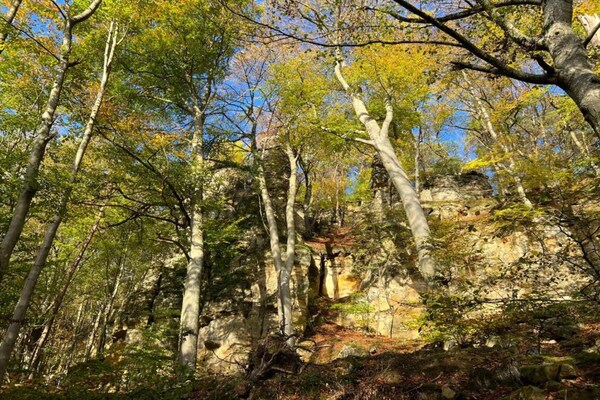 Foto van Tentlodge bij Echternach & Eifel Natuurpark - Vakantiehuis in Echternacherbrück - AreaSummer20KM