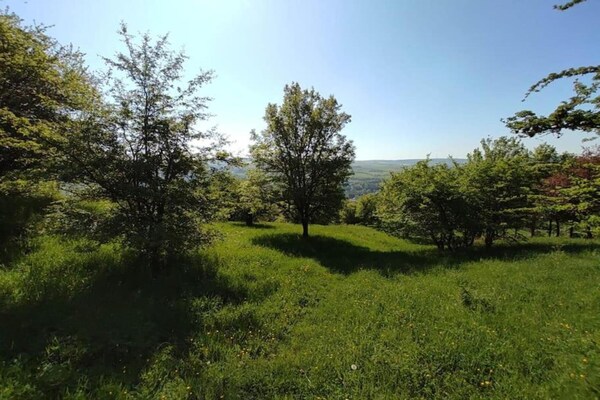 Foto van Tentlodge bij Echternach & Eifel Natuurpark - Vakantiehuis in Echternacherbrück - AreaSummer20KM