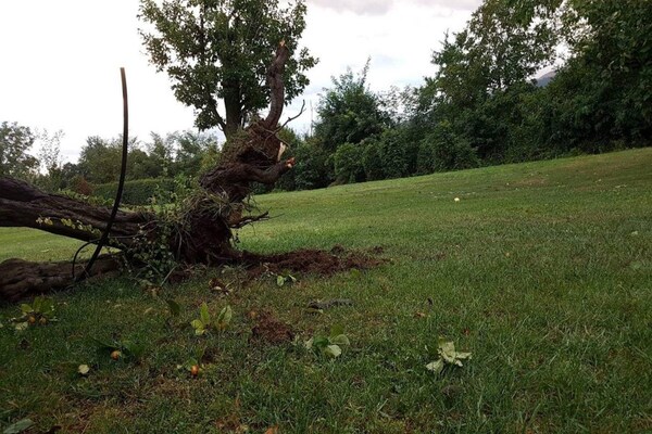Foto van Bendorf Hotel by Belvilla Familie Suite - Vakantiehuis in Bendorf - AreaSummer5KM