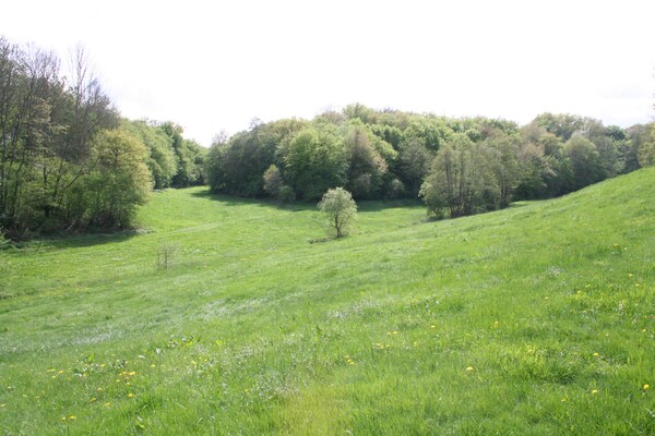 Foto van Molenretraite in Kaifenheim - Vakantiehuis in Kaifenheim - AreaSummer1KM