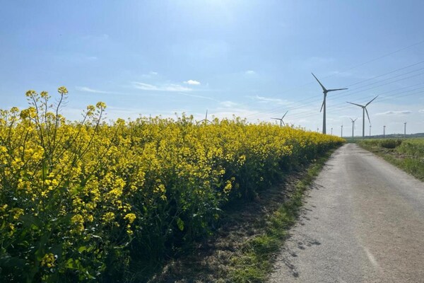 Foto van Molenretraite in Kaifenheim - Vakantiehuis in Kaifenheim - AreaSummer20KM