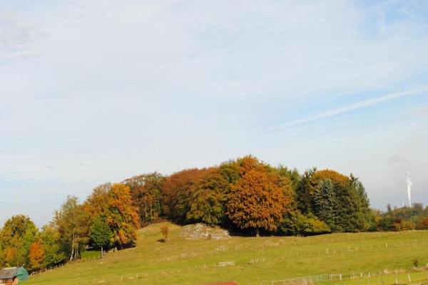 Foto van Stijlvol appartement in Madfeld met privéterras - Vakantiehuis in Brilon-Madfeld - AreaSummer5KM