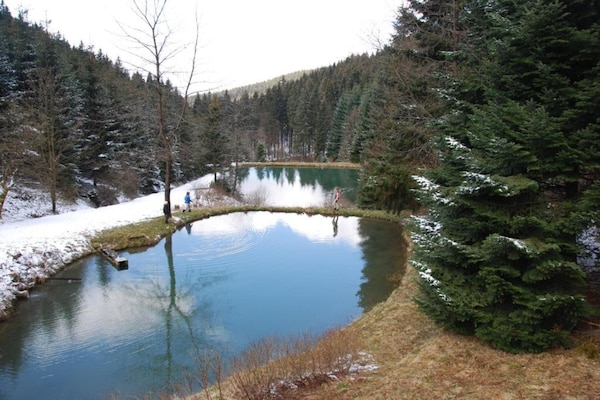 Foto van Gezellig chalet aan de skipistes - Vakantiehuis in Neuastenberg - AreaWinter5KM