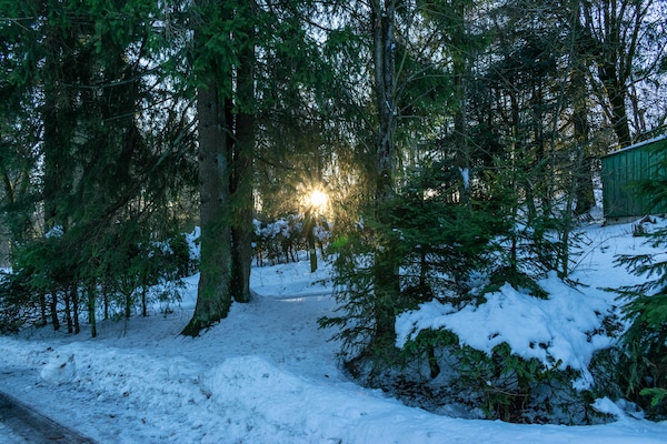 Foto van Gezellig chalet aan de skipistes - Vakantiehuis in Neuastenberg - AreaWinter5KM