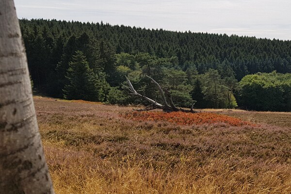 Foto van Ferienhaus Christina - Vakantiehuis in Medebach-Dreislar - AreaSummer5KM