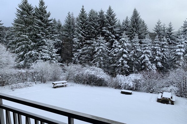 Foto van Appartement in het Rothaargebergte met balkon - Vakantiehuis in Medebach - GardenWinter