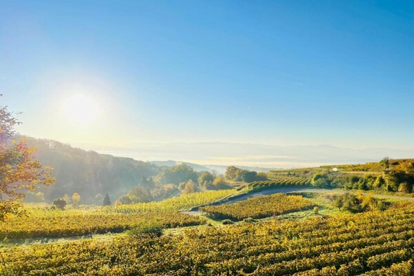 Foto van Wijngaardretraite, Oberrotweil - Vakantiehuis in Oberrotweil - AreaSummer20KM