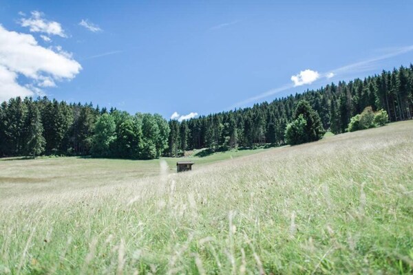 Foto van Vakantieappartement in het Zwarte Woud met tuin - Vakantiehuis in Dachsberg-Urberg - AreaSummer20KM