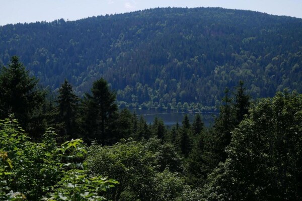 Foto van Vakantieappartement in het Zwarte Woud met tuin - Vakantiehuis in Dachsberg-Urberg - AreaSummer20KM