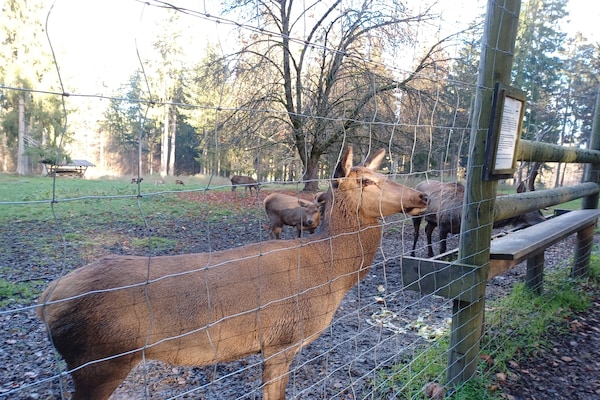 Foto van Prachtig vakantiehuis met grote tuin nabij Stadlern - Untagged
