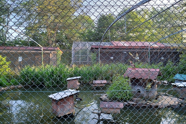 Foto van Prachtig vakantiehuis met grote tuin nabij Stadlern - Untagged