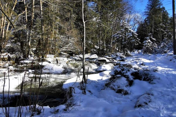 Foto van Modern appartement in Dorn met terras - Vakantiehuis in Waldkirchen - AreaWinter20KM