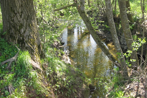 Foto van Appartement in Rotthalmünster nabij - Vakantiehuis in Rotthalmünster - AreaSummer5KM