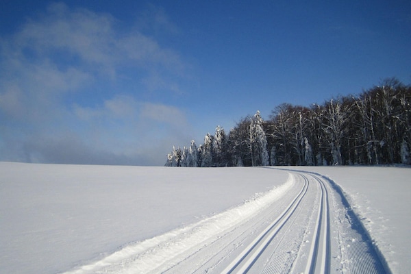 Foto van Appartement in Sonnen vlakbij skiliften - Vakantiehuis in Sonnen - AreaWinter20KM