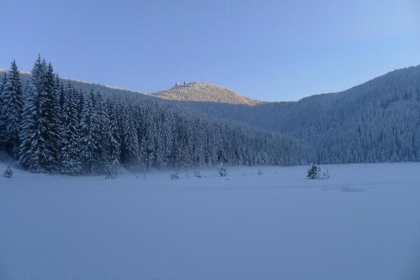 Foto van Houten vakantiehuis vlakbij het skigebied - Vakantiehuis in Bay. Eisenstein - AreaWinter20KM