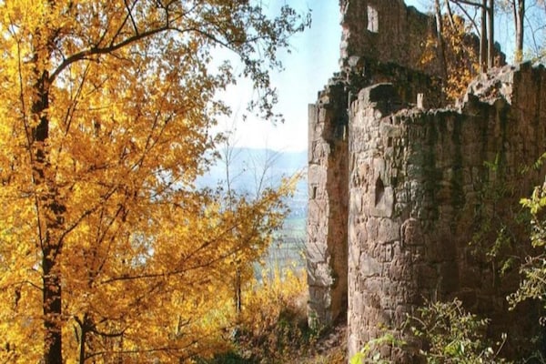 Foto van Comfort in de Frankische Heuvels - Vakantiehuis in Zeil am Main - AreaSummer20KM