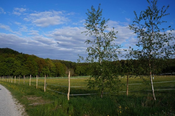 Foto van Comfort in de Frankische Heuvels - Vakantiehuis in Zeil am Main - AreaSummer20KM