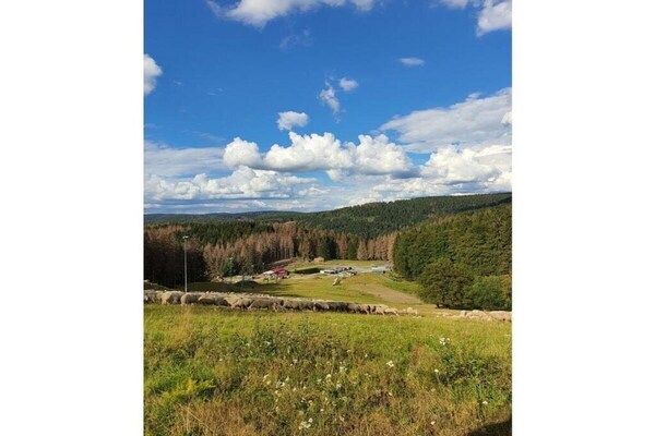 Foto van Wellnesswoning met tuin - Vakantiehuis in Schnett - AreaSummer20KM