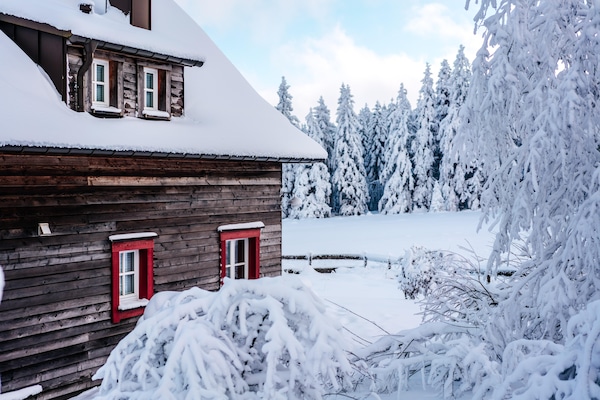 Foto van Vakantiehuizen, turfhuis - Vakantiehuis in Torfhaus - ExteriorWinter