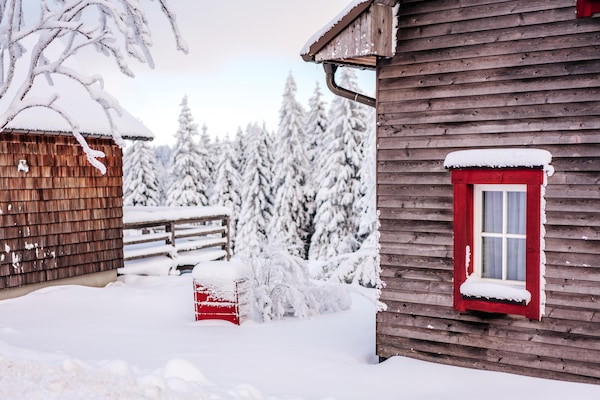 Foto van Vakantiehuizen, turfhuis - Vakantiehuis in Torfhaus - ExteriorWinter