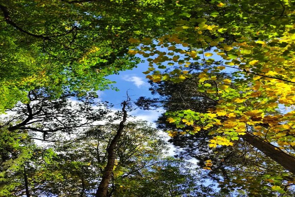 Foto van Chalet in Wendorf - Vakantiehuis in Wendorf - AreaSummer5KM